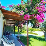 Estremo Sud Frühstückspension 3*